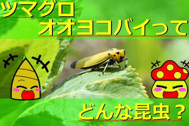 Thumbnail of post image 020